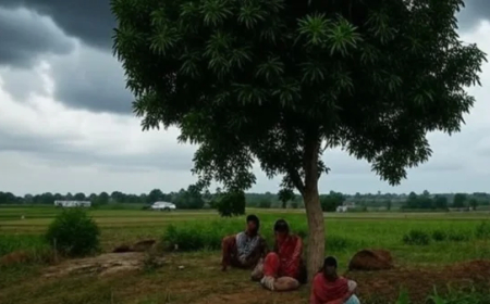 छत्तीसगढ़ में मानसून का सिस्टम हुआ कमजोर, अगले कुछ दिनों में कम होगी बारिश, हल्की बारिश की संभावना