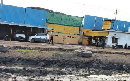 सामाजिक कार्यकर्ता ने की।तीव्रता कोलवासी के खिलाफ कलेक्टर से की शिकायत