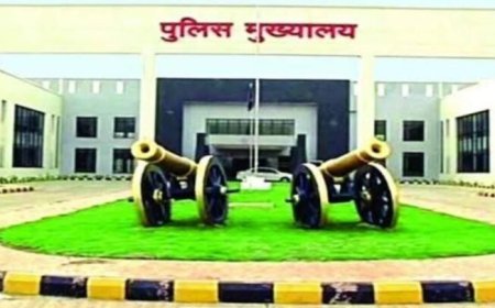 ई-कॉमर्स कंपनियों को चेतावनी...छत्तीसगढ़ में ऑनलाइन नशे और हथियारों की बिक्री पर रोक