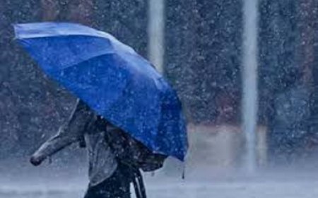 छत्तीसगढ़ में फिर लौटेगा मानसून, इन जिलों में येलो अलर्ट जारी