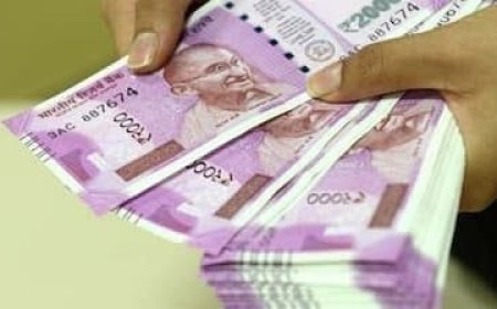 CG : इन अधिकारियों-कर्मचारियों के मानदेय में हुई वृद्धि,जानिए कितना बढ़ा मानदेय…