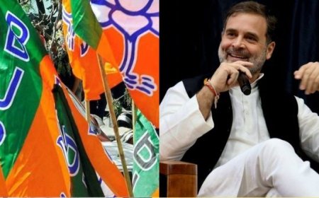 राहुल गांधी के आरोपों पर BJP ने किया का पलटवार, कहा- ‘जहां आपने सीट चोरी का आरोप लगाया, वहां सबसे ज्यादा सीटें जीती कांग्रेस’