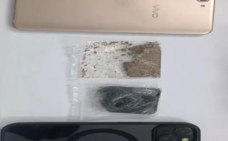 रायपुर पुलिस ने ऑपरेशन बाज में ब्राउन शुगर और चरस तस्कर पकड़े