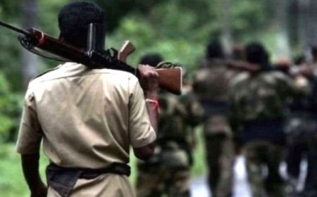 शांति और विकास की ओर अग्रसर बस्तर, 30 इनामी नक्सलियों ने किया आत्मसमर्पण