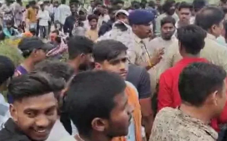 गौ मांस बिक्री को लेकर बिलासपुर में बवाल, गौरक्षकों पर हमला, चार घायल