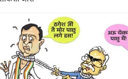 बीजेपी ने कांग्रेस पर किया कार्टूनवार,लिखा कुर्सी की खींचतान में कांग्रेस ..