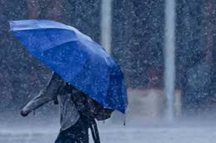 छत्तीसगढ़ में फिर लौटेगा मानसून, इन जिलों में येलो अलर्ट जारी