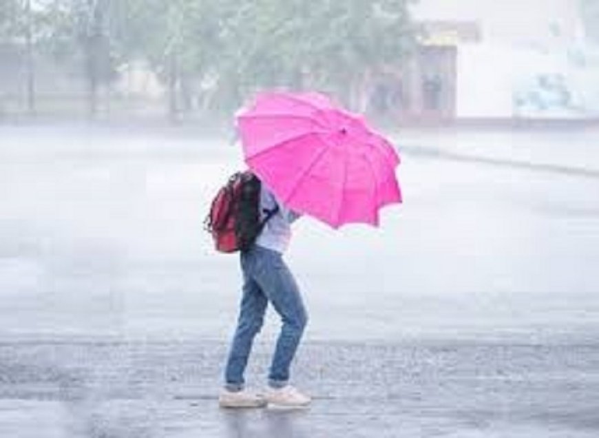 छत्तीसगढ़ में भारी बारिश का कहर...बस्तर-सुकमा में बाढ़, कई जिलों में ऑरेंज अलर्ट