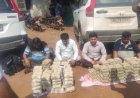 बड़ी कार्रवाई : दुर्ग पुलिस ने महाराष्ट्र पासिंग गाड़ी से बरामद किए 6 करोड़ 60 लाख रुपये, जानिए क्या है मामला?