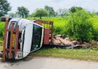 डोंगरगढ़ में भीषण सड़क हादसा, दो युवकों की मौके पर मौत