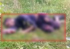 मझगंवा सड़क किनारे युवक का शव मिलने से सनसनी, पुलिस जांच में जुटी
