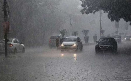 छत्तीसगढ़ में मानसून एक्टिव मोड में, मौसम विभाग ने कई जिलों के लिए जारी किया बारिश का यलो अलर्ट