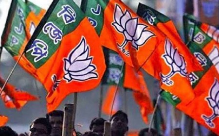 CG : भाजपा जिला पदाधिकारी की नई टीम घोषित, कई नए चेहरों को मिला जिम्मा