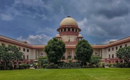 सुप्रीम कोर्ट की कड़ी फटकार: ‘अगर अवैध कटाई यूं ही जारी रही, तो एक भी जंगल नहीं बचेगा’