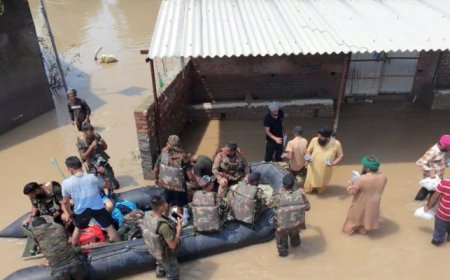 बारिश ने मचाया हाहाकार : बाढ़ से अब तक 43 की मौत,पठानकोट में पहाड़ दरके, लुधियाना में सेना ने संभाला मोर्चा