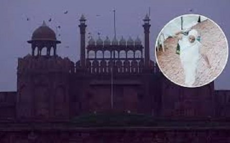 लाल किला से बेशकीमती सोने का कलश चोरी, सीसीटीवी में कैद हुई तस्वीर