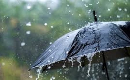 छत्तीसगढ़ में भारी बारिश का अलर्ट, रायपुर समेत 22 जिलों में झमाझम के आसार