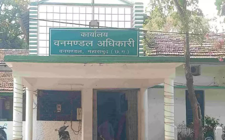 करंट लगने से भालू की मौत, शिकारियों पर कार्रवाई तेज