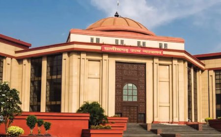 बिलासपुर हाईकोर्ट का आवारा मवेशियों पर कड़ा हमला, सरकार और प्रशासन को फटकार