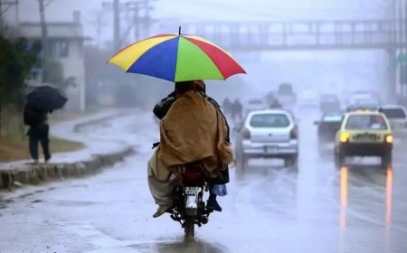 छत्तीसगढ़ मौसम अलर्ट: अगले 48 घंटे में भारी बारिश...सुबह से हो रही झमाझम बारिश