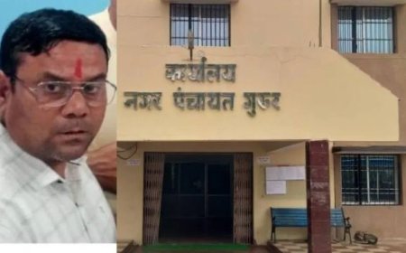 भाजपा समर्थित नगर पंचायत अध्यक्ष पर सरकारी जमीन पर अतिक्रमण, बेदखली का आदेश