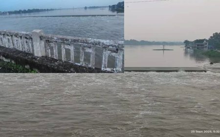 छत्तीसगढ़ का प्रयागराज राजिम: 16 घंटे की बारिश से महानदी उफान पर, समुद्र जैसा नजारा