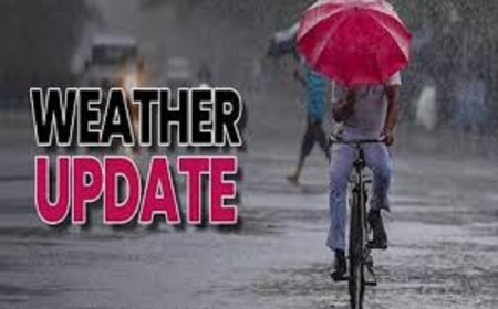 Weather Update: बस्तर में भारी बारिश की चेतावनी, रायपुर में बदला मौसम