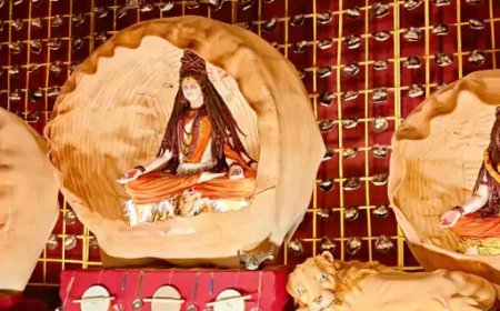 दुर्गोत्सव की धूम, पंडाल और झांकियों के लिए उमड़ी भारी भीड़