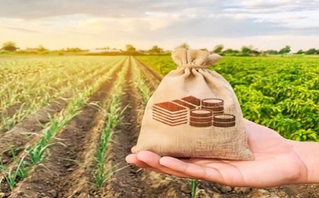 कृषि भूमि का बाजार मूल्य अब हेक्टेयर दर से होगा निर्धारित, कई नियमों में हुआ संशोधन