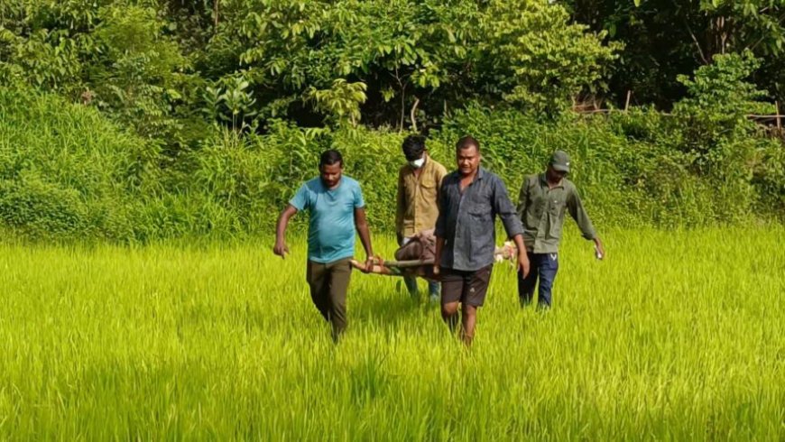 CG : खेत में मिली युवक की लाश, इलाके में फैली दहशत