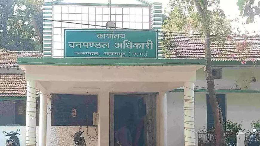 करंट लगने से भालू की मौत, शिकारियों पर कार्रवाई तेज