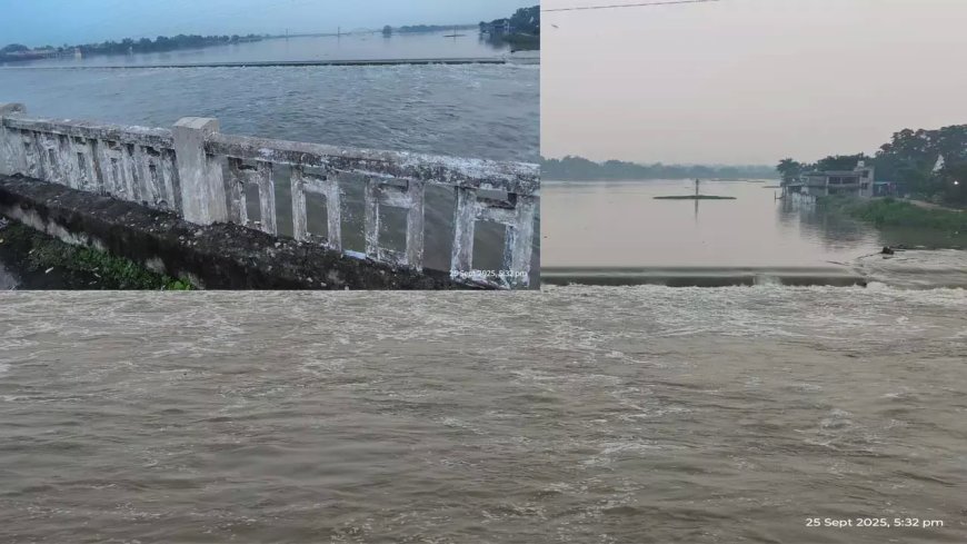 छत्तीसगढ़ का प्रयागराज राजिम: 16 घंटे की बारिश से महानदी उफान पर, समुद्र जैसा नजारा