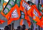 BREAKING : भाजपा जिला पदाधिकारियों की घोषणा, जानिए किन्हे मिली उपाध्यक्ष, मंत्री और कोषाध्यक्ष की जिम्मेदारी
