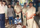 निषाद होटल पर आबकारी विभाग की बड़ी कार्रवाई, अवैध विदेशी मदिरा जब्त