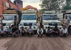 गौ तस्करी पर बड़ी कार्रवाई: 4 पिकअप में मवेशियों को ठूंसकर ले जा रहे थे 9 तस्कर गिरफ्तार