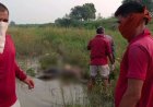 हादसा: पिकनिक के दौरान हसदेव नदी में बही युवती का शव बरामद, पूरे गांव में छाया मातम