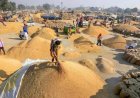 धान उपार्जन से पहले अवैध तस्करी पर कड़ी नजर, 16 चेक पोस्ट स्थापित