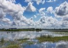 Chhattisgarh Weather: छत्तीसगढ़ से जल्द विदा होगा मानसून, ठंड ने दी दस्तक