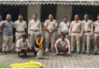 मृत हाथी का मामला सुलझा, वन विभाग की तत्परता से तीन आरोपी गिरफ्तार