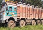 अवैध लकड़ी की तस्करी का भंडाफोड़, वन विभाग ने पकड़ा 45 लाख का जखीरा