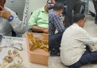 MP News: इंदौर में रिटायर्ड आबकारी अफसर के लॉकर से करोड़ों के जेवरात बरामद