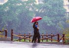 Weather Alert: छत्तीसगढ़ में फिर बरसेंगे बादल, बस्तर से रायपुर तक भारी बारिश और तेज हवाओं की चेतावनी