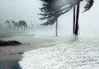 Weather News: छत्तीसगढ़ में मोंथा चक्रवात का कहर, बस्तर-सुकमा में भारी बारिश का अलर्ट