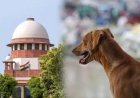 Supreme Court का सख्त रुख: आवारा कुत्तों पर नियंत्रण में लापरवाही पर सभी राज्यों के मुख्य सचिवों को तलब