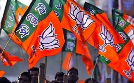 BREAKING : भाजपा जिला पदाधिकारियों की घोषणा, जानिए किन्हे मिली उपाध्यक्ष, मंत्री और कोषाध्यक्ष की जिम्मेदारी