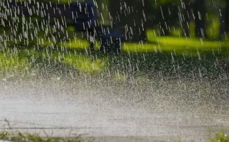 प्रदेश में अगले 3 दिनों तक होगी ताबड़तोड़ बारिश, गरज-चमक के साथ जताई गई वज्रपात की संभावना