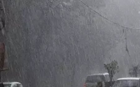 छत्तीसगढ़ में भारी बारिश का अलर्ट, किसानों की बढ़ी चिंता