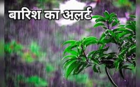 छत्तीसगढ़ में फिर जमकर होगी बारिश, रायपुर समेत कई जिलों के लिए अलर्ट जारी