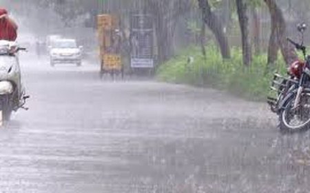 Weather Update : कई जिलों में बारिश का दौर जारी...रायपुर में बादल और गरज के साथ बारिश की संभावना