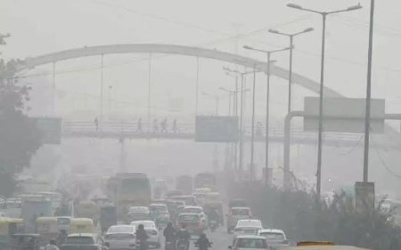 दिल्ली: घर के अंदर की हवा भी धुंध जितनी जहरीली, फफूंद और बैक्टीरिया से खतरा